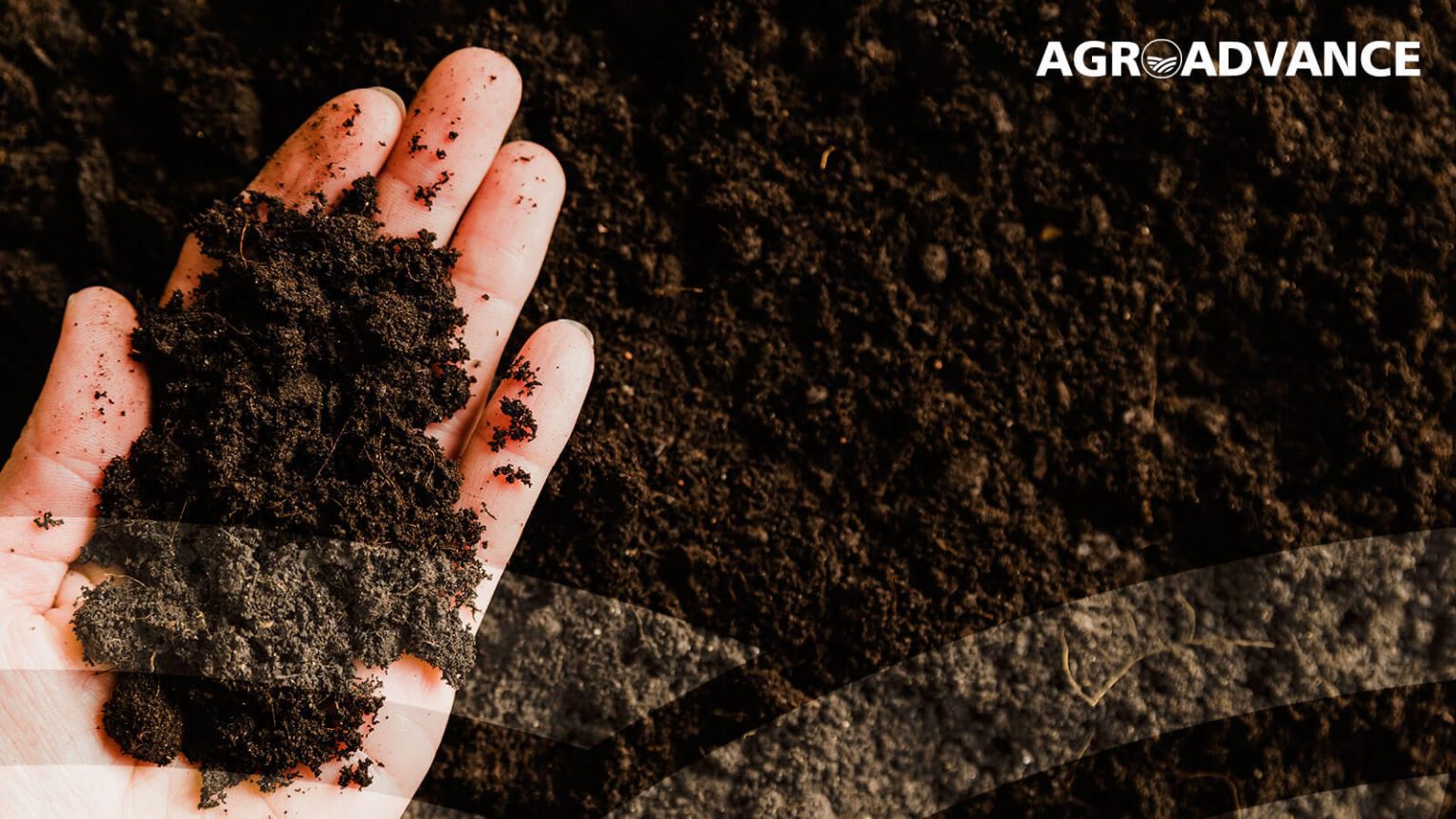 Matéria Orgânica do solo | Agroadvance