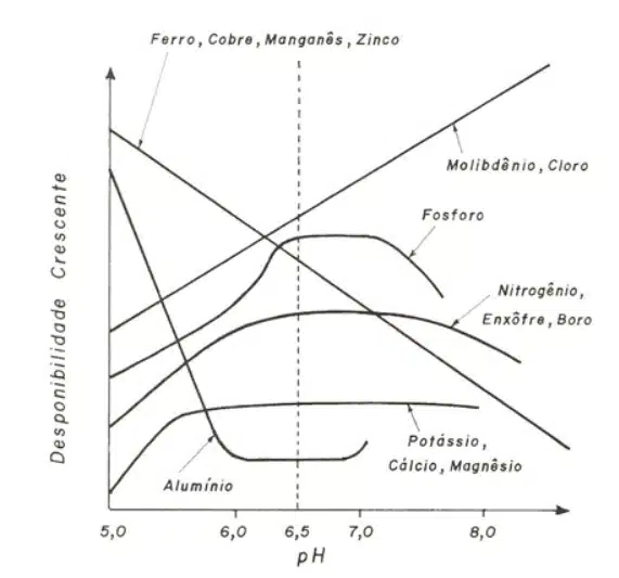 Relação entre a disponibilidade de nutrientes e pH do solo. Fonte: Malavolta (1979). 