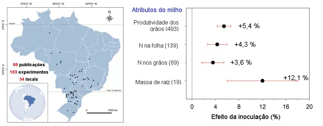 resposta do milho à inoculação com Azospirillum brasilense