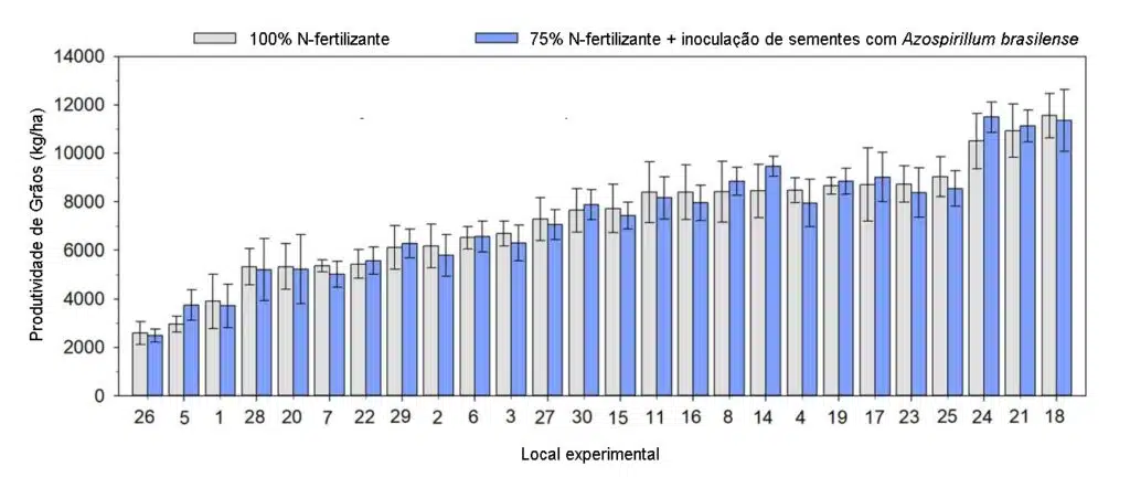 inoculante para milho azospirillum