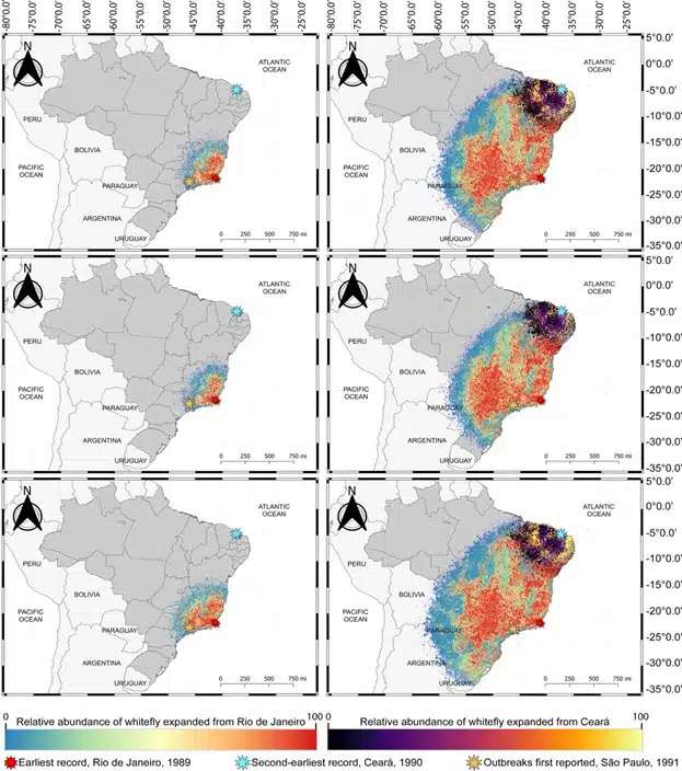 Simulações SPLATCHE da expansão demográfica do biótipo Bemisia tabaci B no Brasil.