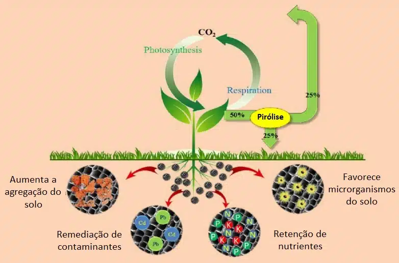 Benefícios do biochar.
