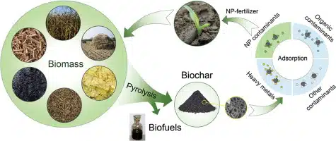 Ciclo de produção e aplicação do biochar como fertilizante
