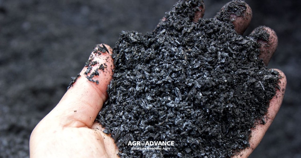 biochar ou biocarvão