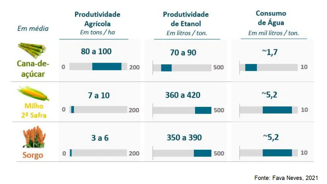 cana-de-açúcar, milho e sorgo para produção de etanol