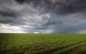 Leia mais sobre o artigo El Niño e La Niña: como esses 2 fenômenos climáticos afetam a agricultura brasileira?