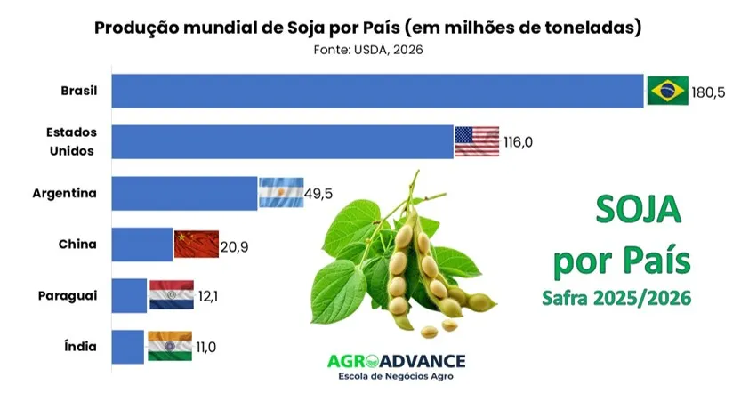ranking dos maiores produtores de soja do mundo