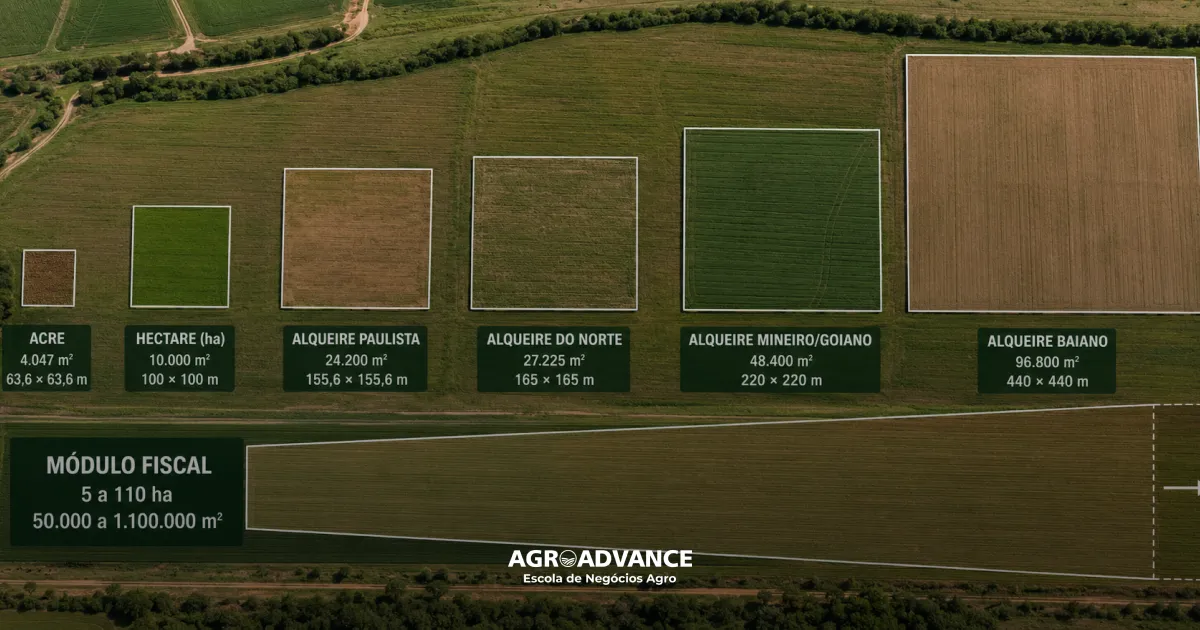 medidas de terra hectare, alqueire, módulo fiscal, acre
