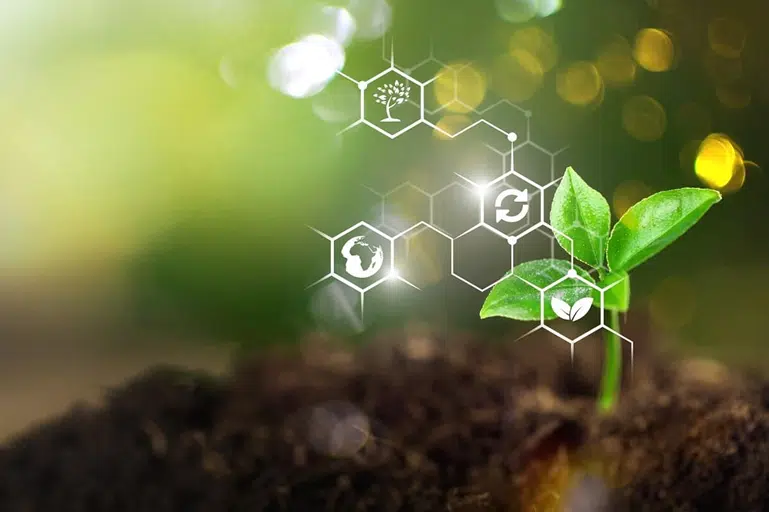 bioestimulantes vegetais