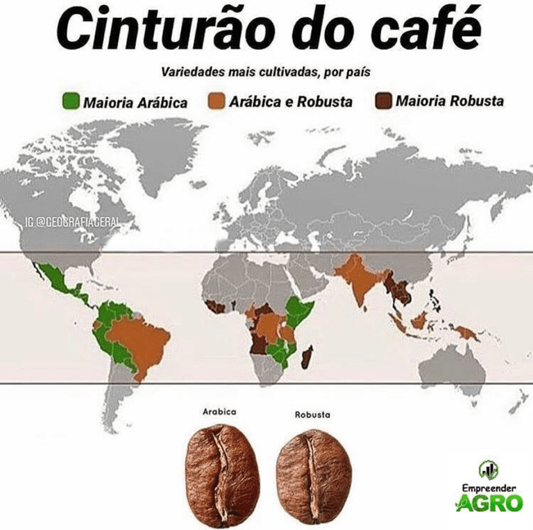 5 maiores produtores de café do mundo: Brasil se destaca