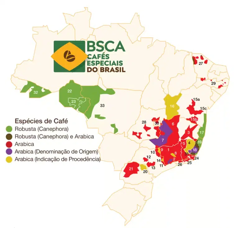 regiões produtoras de café no Brasil