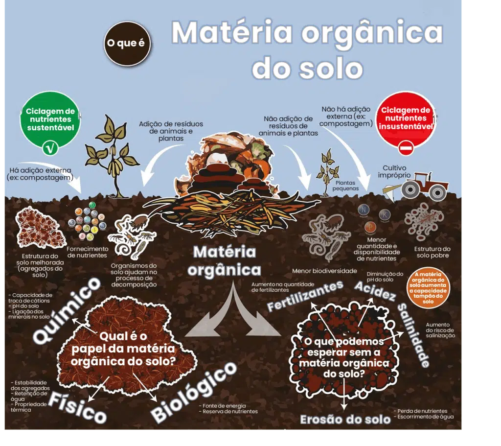 materia organica do solo