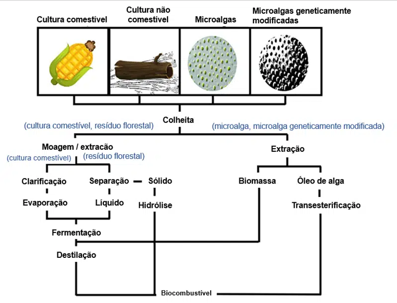 processo de produção de bicombustíveis