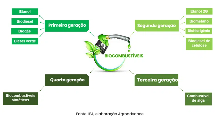 tipos de biocombustíveis: etanol, biodiesel, biometano, biogás
