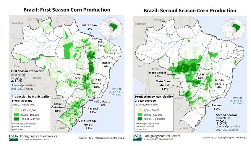 Mapa do cultivo de milho primeira safra e segunda safra no Brasil