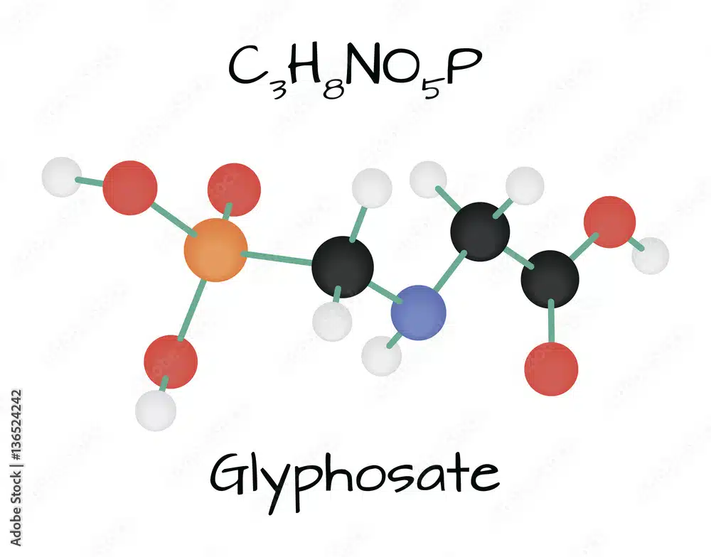 glifosato