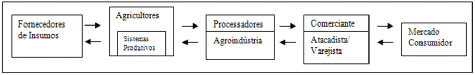 etapas da cadeia produtiva até a comercialização agrícola