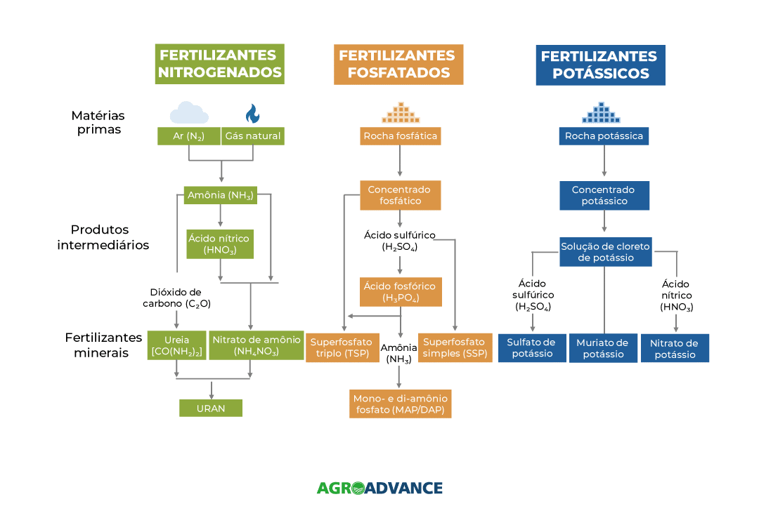 Fertilizantes: O que são, para que servem e quais os 3 tipos?