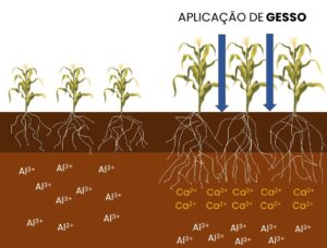 gesso no solo gesso agrícola na agricultura