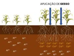 gesso no solo gesso agrícola na agricultura