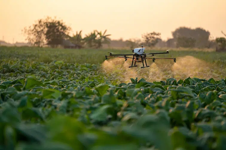 drone pulverizando lavoura