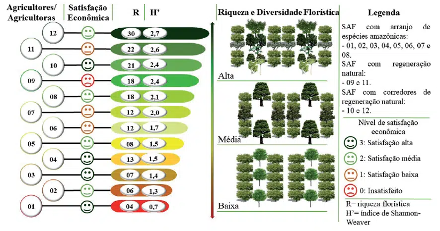 importância dos sistemas agroflorestais agrofloresta