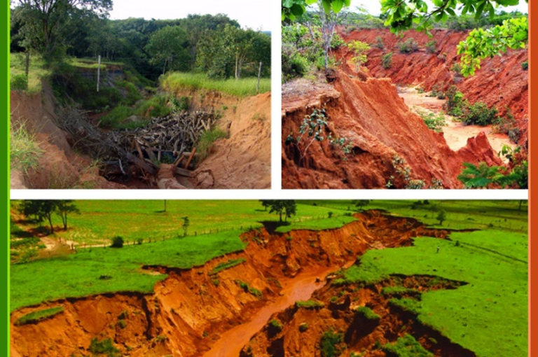 Degradação do solo: 4 principais causas | Agroadvance