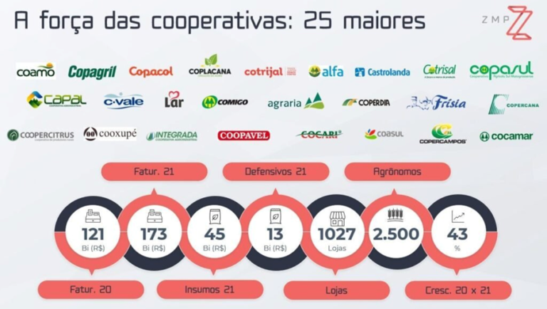 10 maiores cooperativas agropecuárias do Brasil em 2024