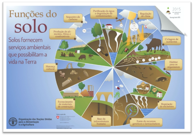 Degradação do solo: 4 principais causas | Agroadvance
