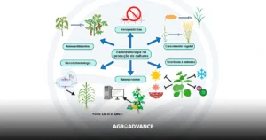 nanotecnologia na agricultura