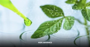 biotecnologia verde
