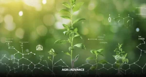 citocinina nas plantas
