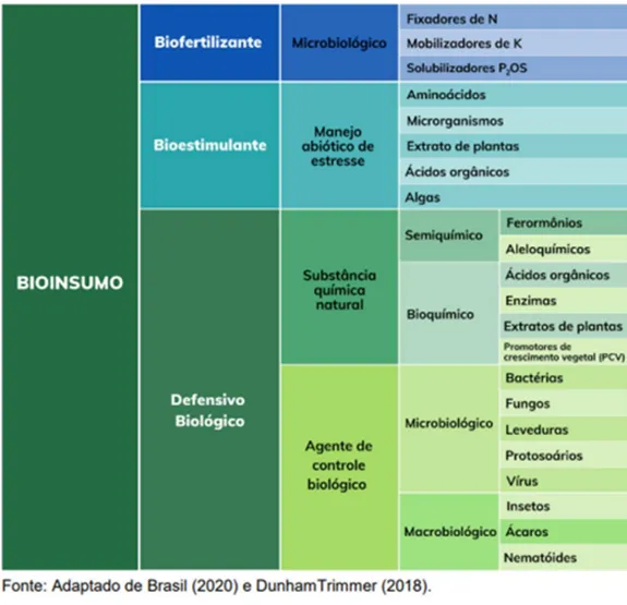 principais microrganismos usados como insumo biológico bioinsumos