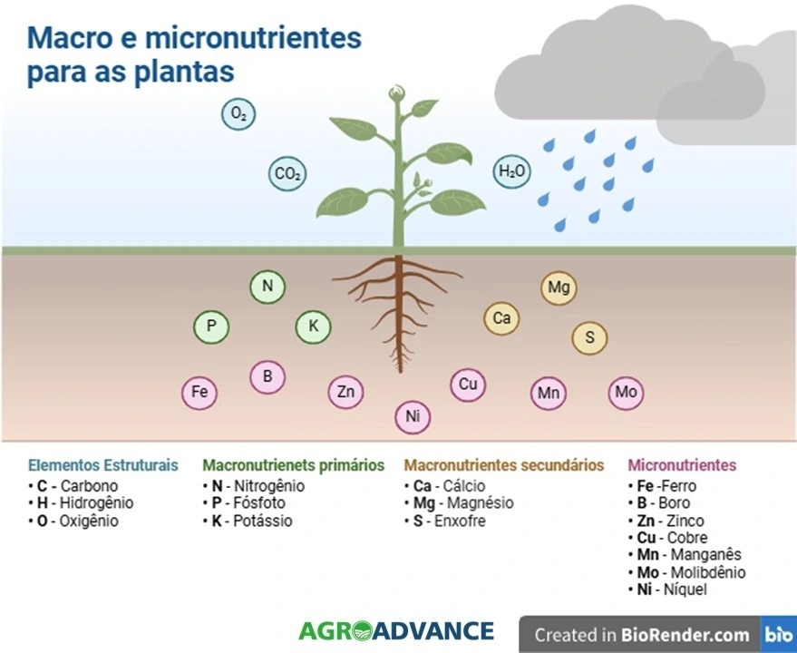macro e micronutrientes para as plantas
