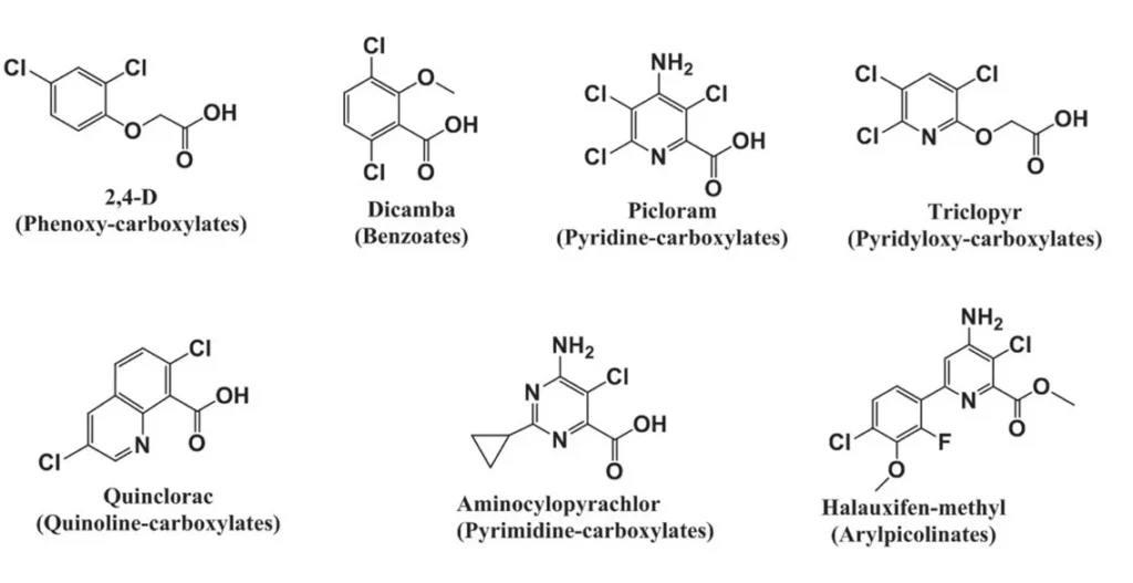 moléculas de herbicidas mimetizadores de auxina grupo O HRAC