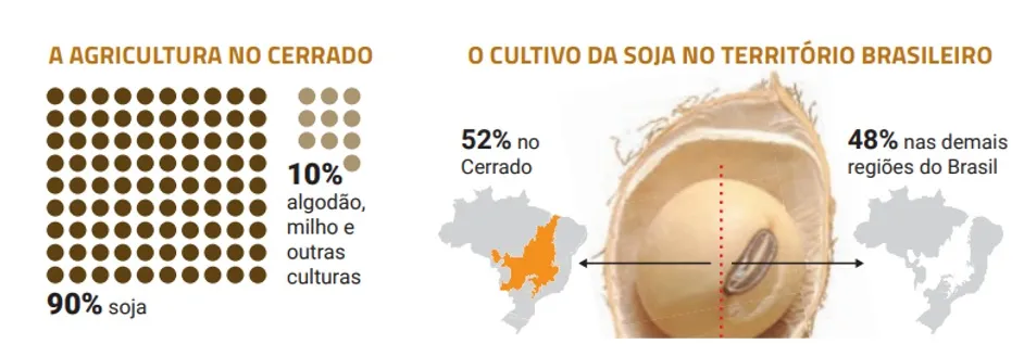 Distribuição da soja no Brasil - origem da soja