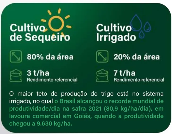 sistemas de cultivo de trigo no brasil: sequeiro e irrigado