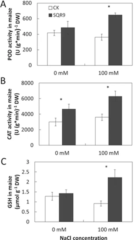 efeito do bacillus amyloliquefaciens na atividade antioxidante das plantas