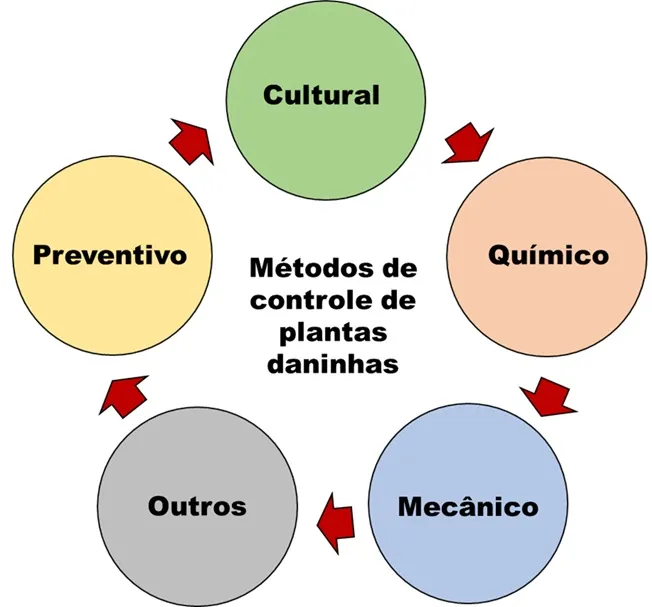 métodos de controle de plantas daninhas