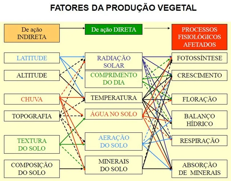 Tabela de Alvim - Fatores que influenciam o processo fisiológico das plantas