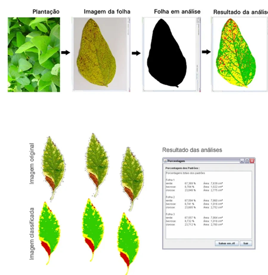AFSoft: digitalização da diagnose foliar da EMBRAPA.