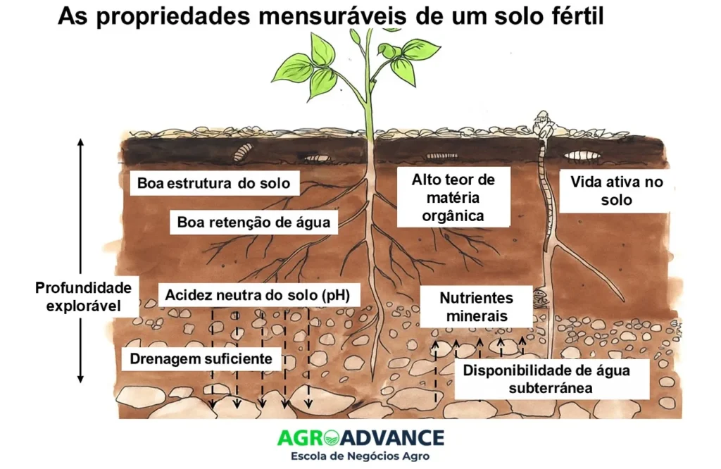 propriedades de um solo fértil - fertilidade do solo