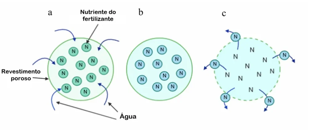 Mecanismo de difusão para liberação controlada. em fertilizantes de liberação controlada