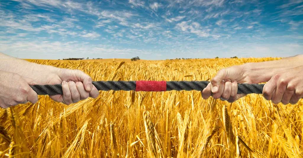 gestão de conflitos no agronegócio