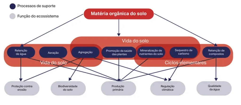 Benefícios do carbono no solo. 