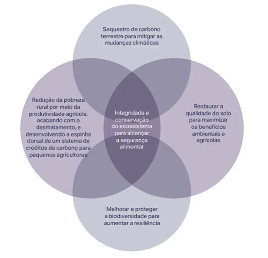 Dimensões da agricultura regenerativa.