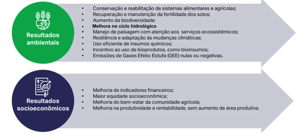 benefícios da agricultura regenerativa