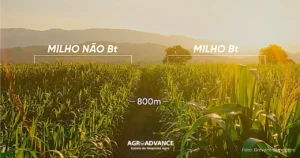 Área de refúgio