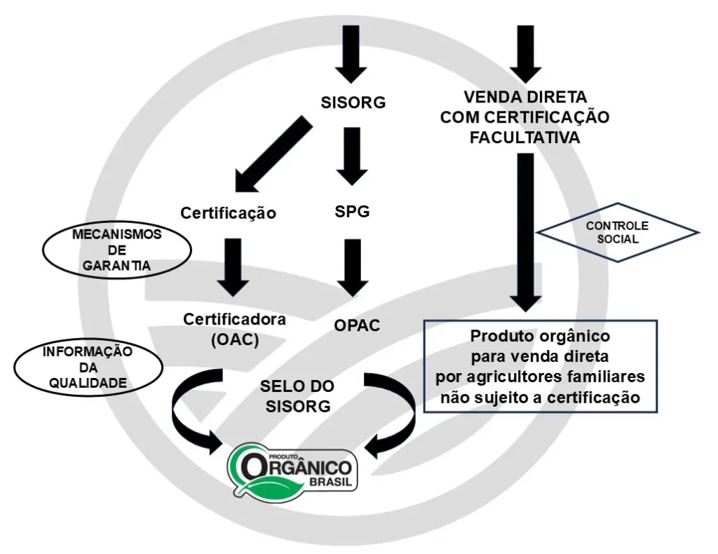 Marco regulatório da agricultura orgânica no Brasil.