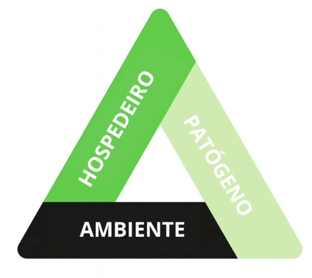 triângulo da doença: ambiente, patógeno e hospedeiro